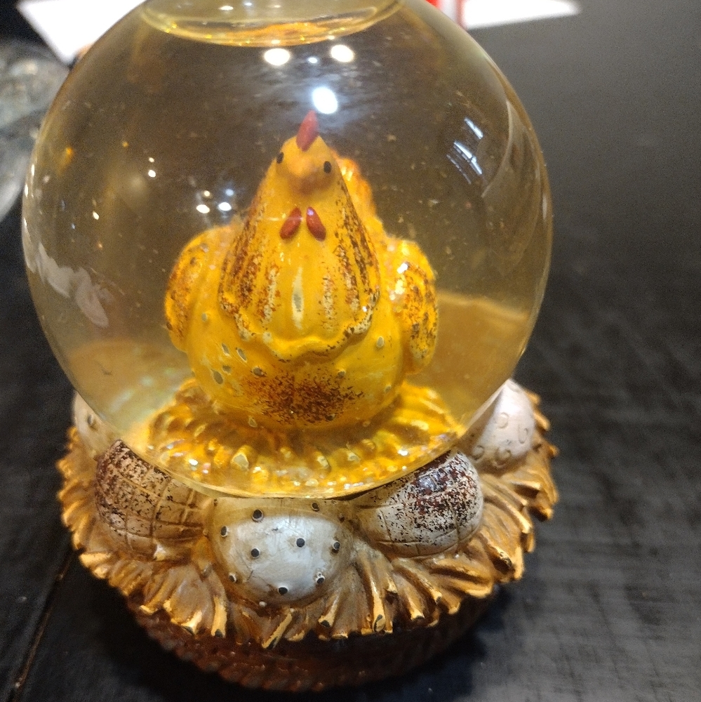 Chicken snowglobe